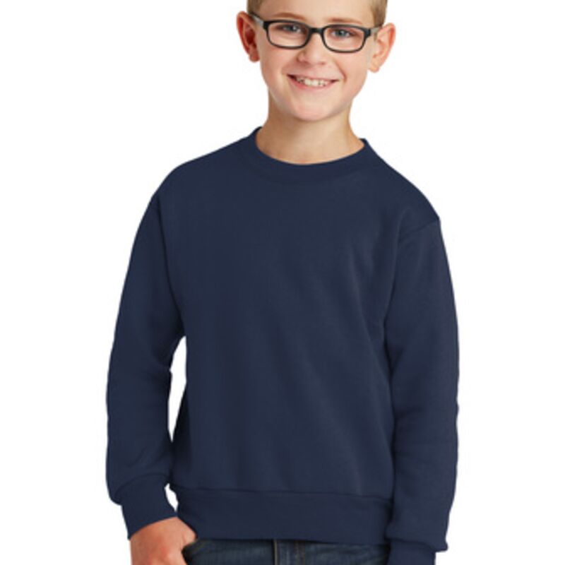 Youth Core Fleece Crewneck Sweatshirt Thumbnail